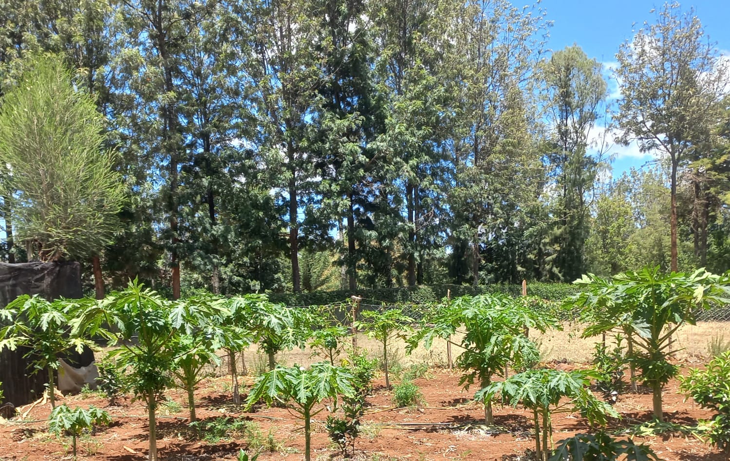 Agricultural Training