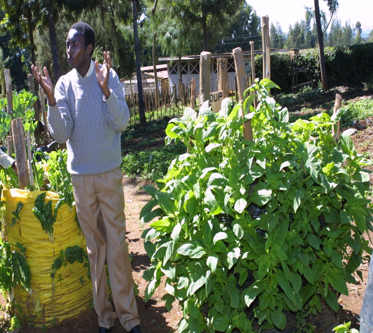 Organic Certification Assistance