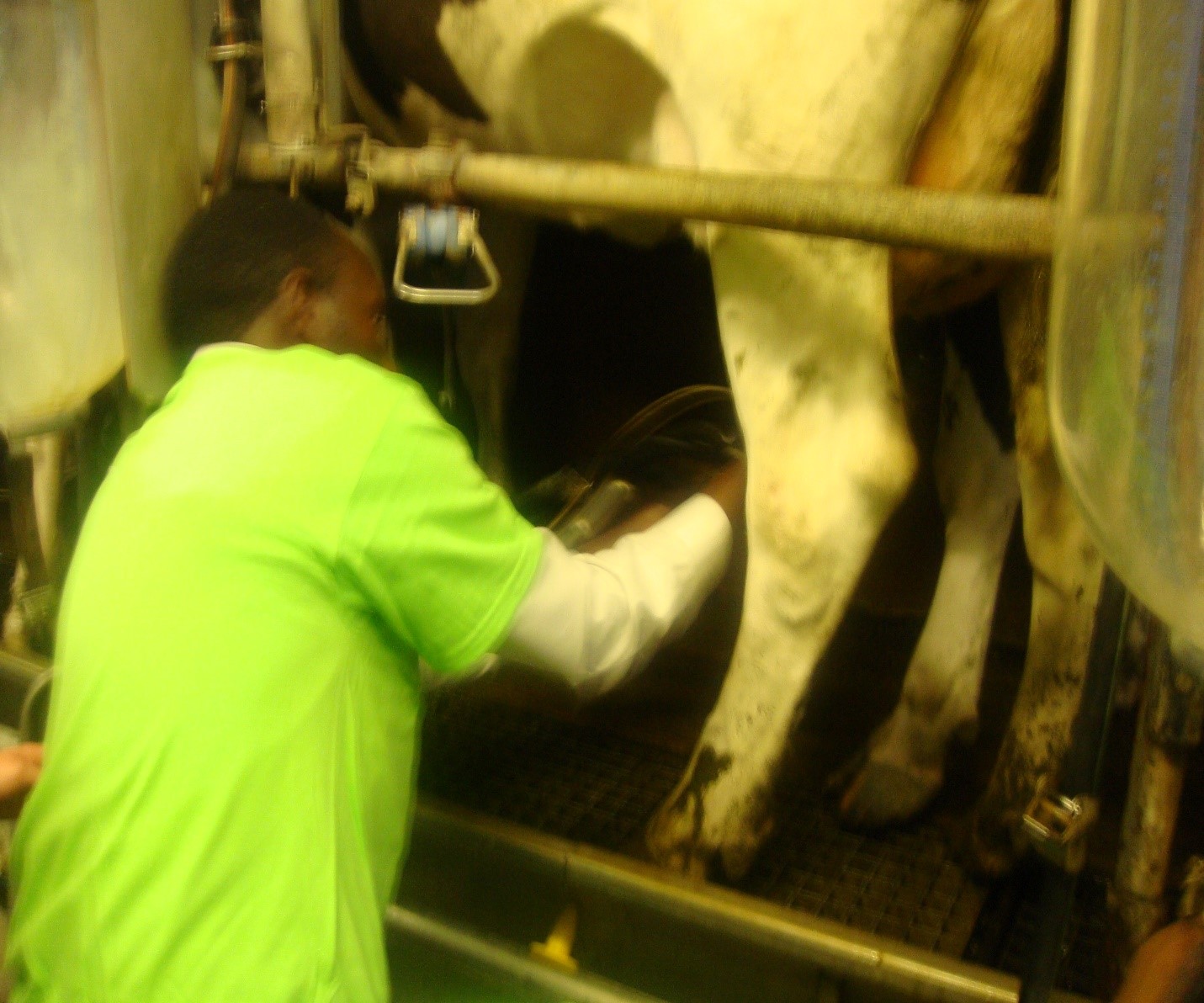 Mechanization in Agriculture